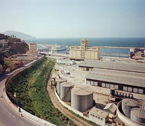 oran 026